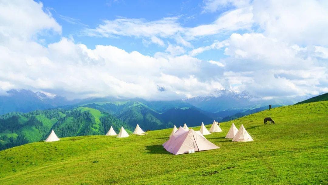 Kalajun-Grassland-1