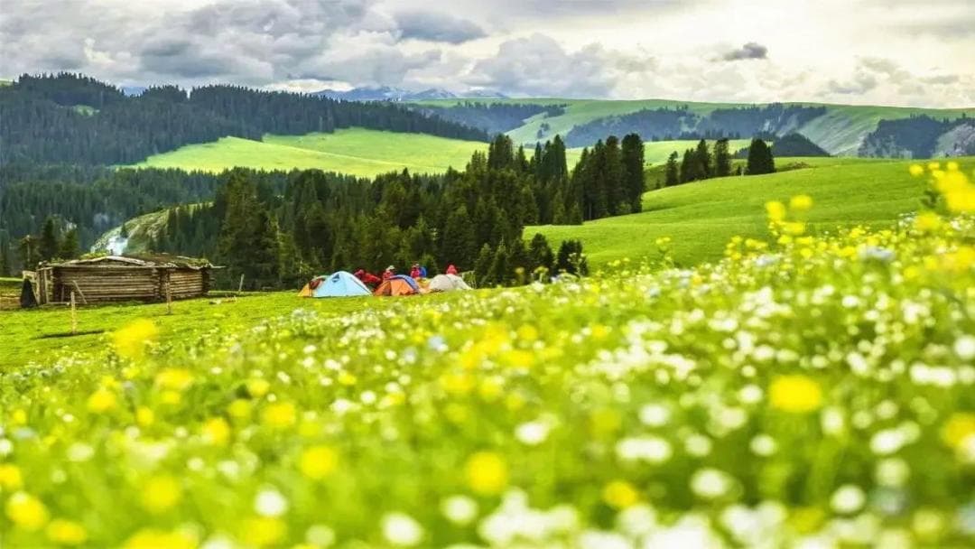 Kalajun-Grassland