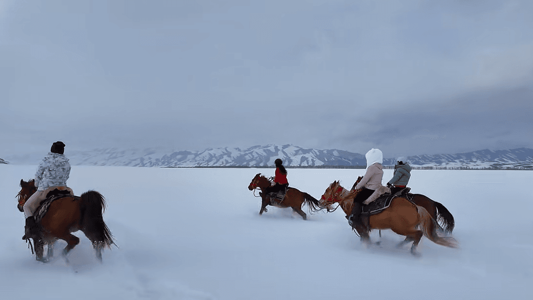 Horseback Riding1