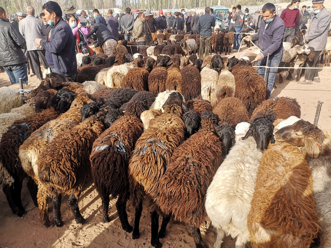 Sunday Bazaar