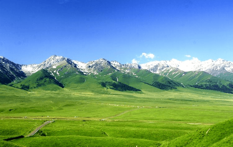 Naraty Grassland