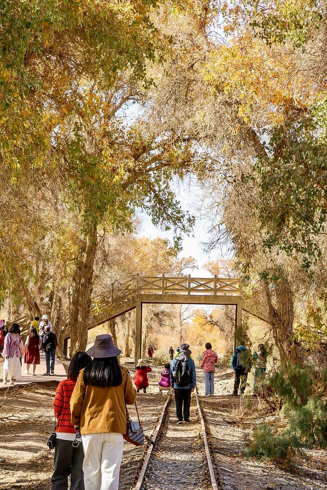 Xinjiang Travel