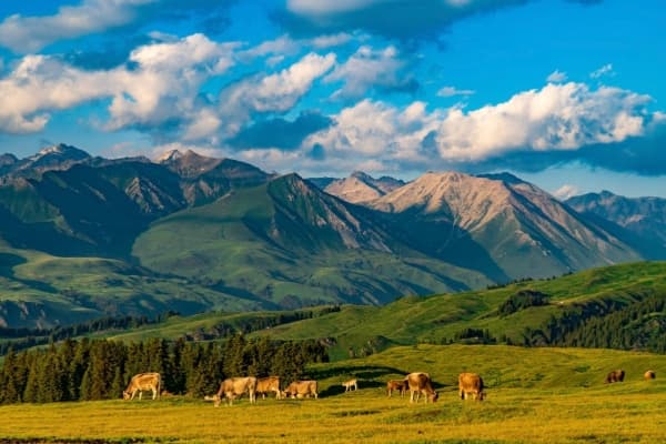 Best Xinjiang Itineraries