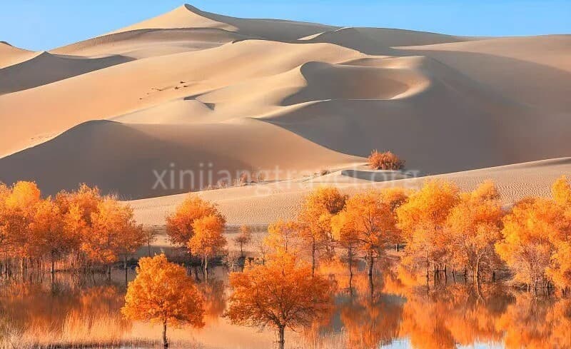 塔克拉玛干沙漠 (1)