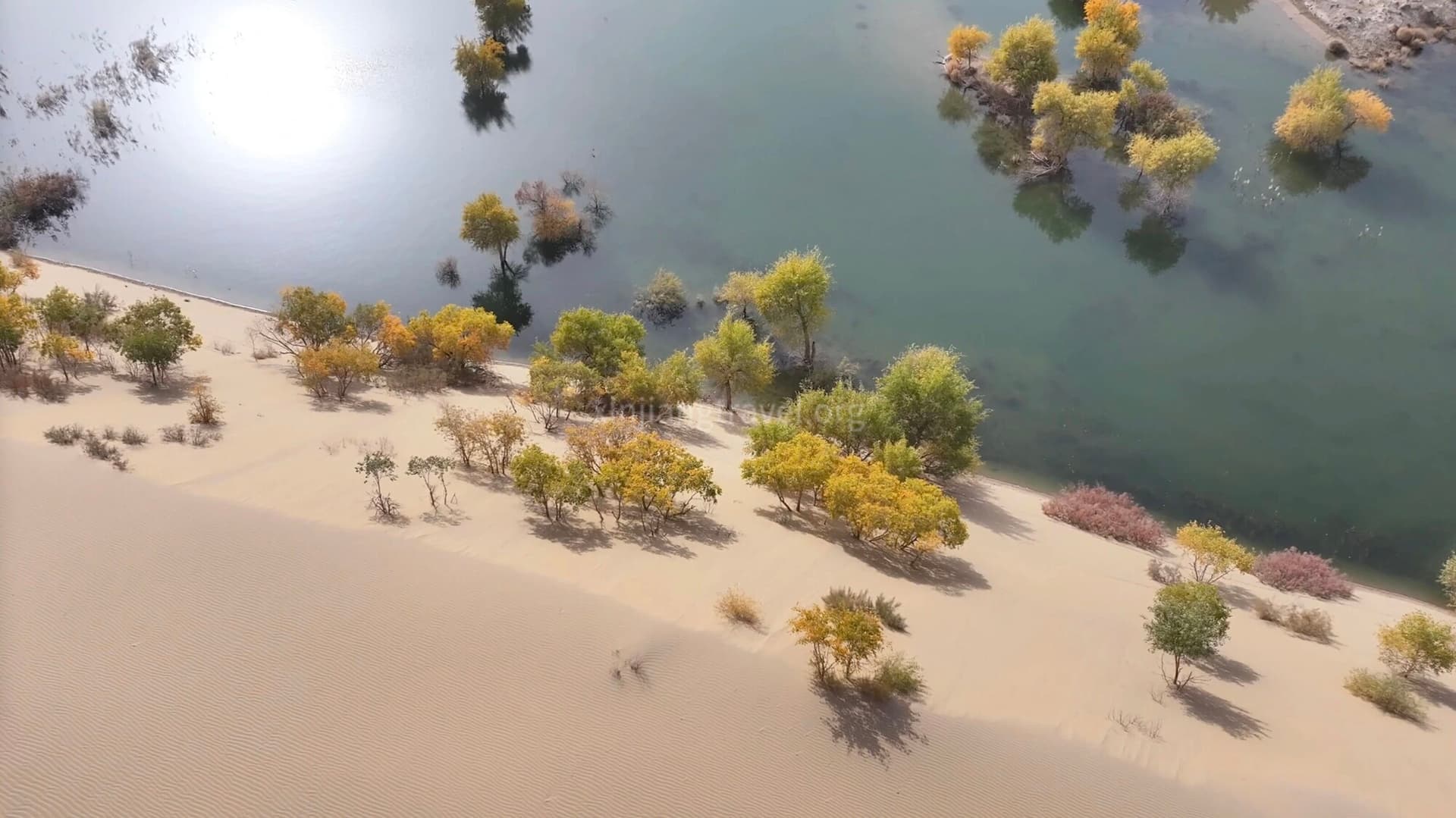 Taklamakan Desert