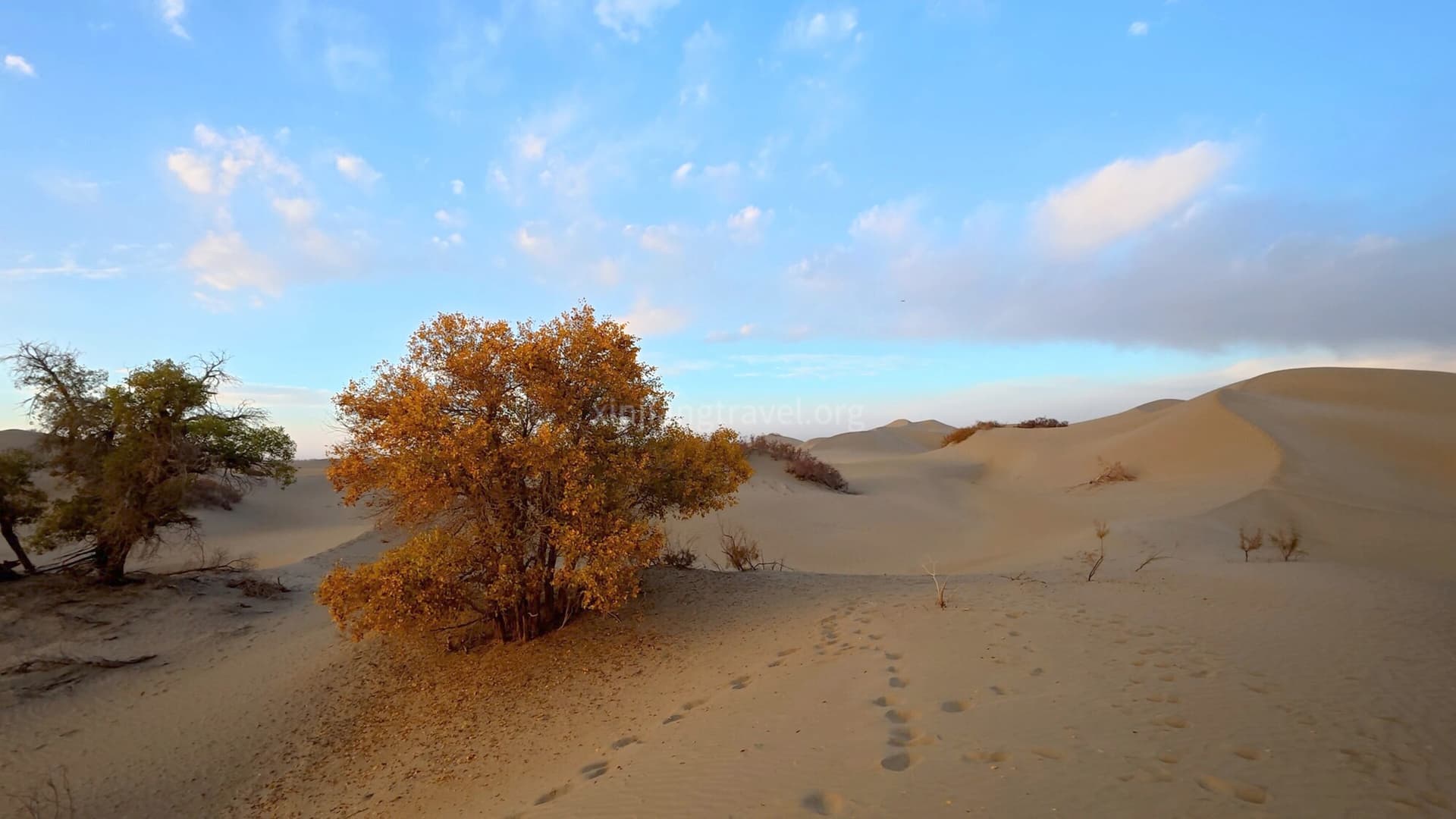 Taklamakan Desert