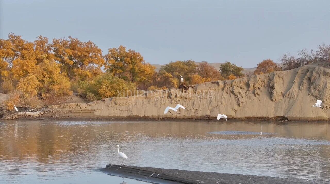 Taklamakan Desert