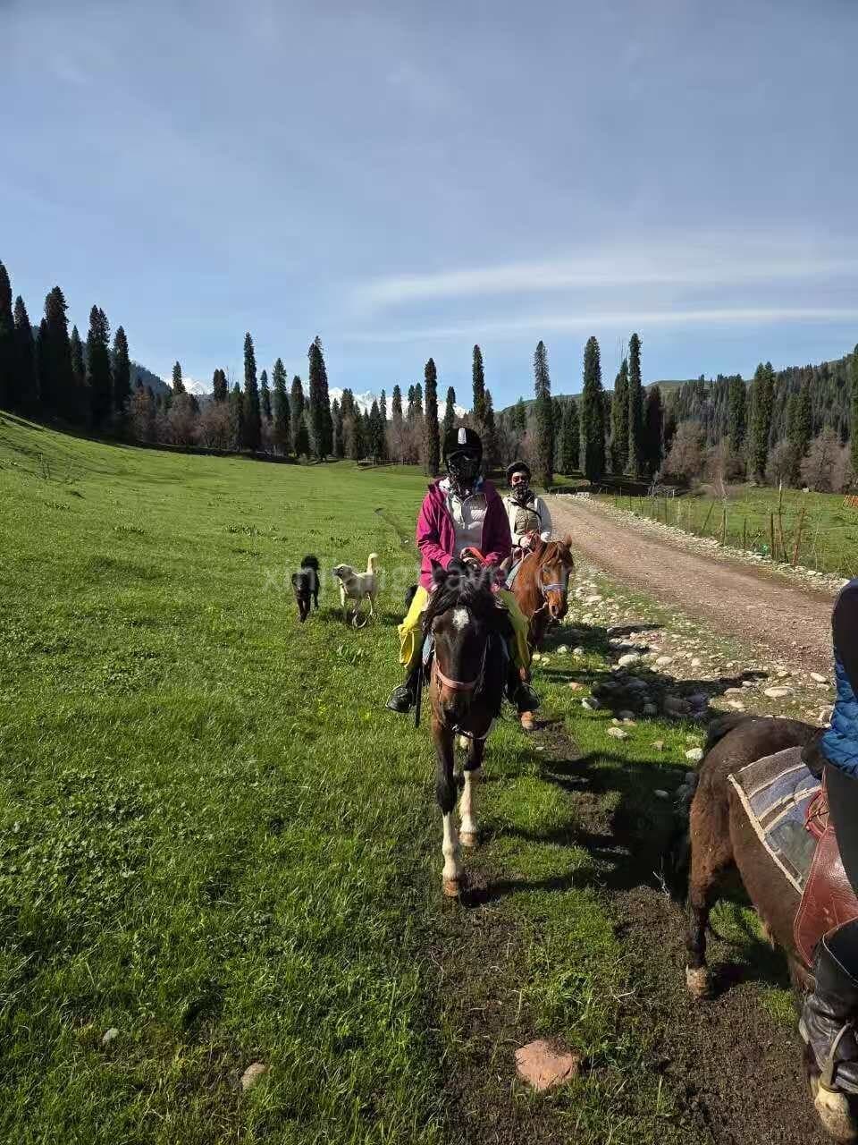 horse-riding-1