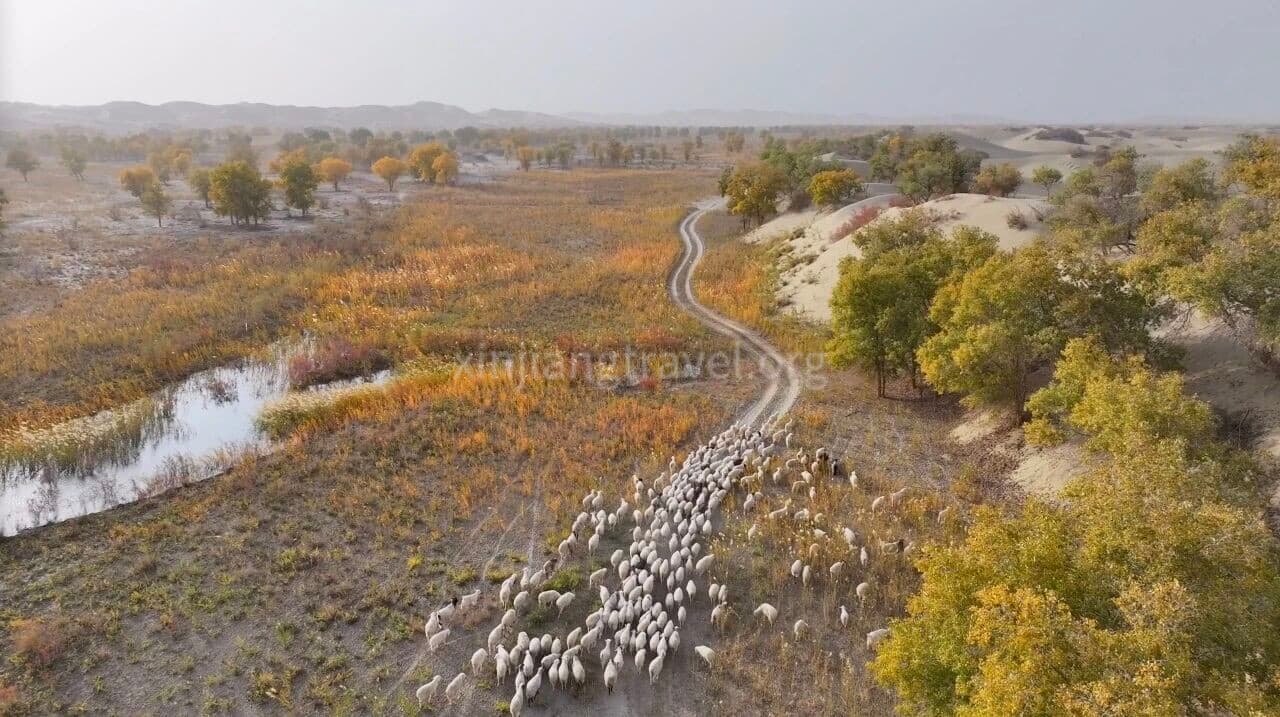 Taklamakan Desert