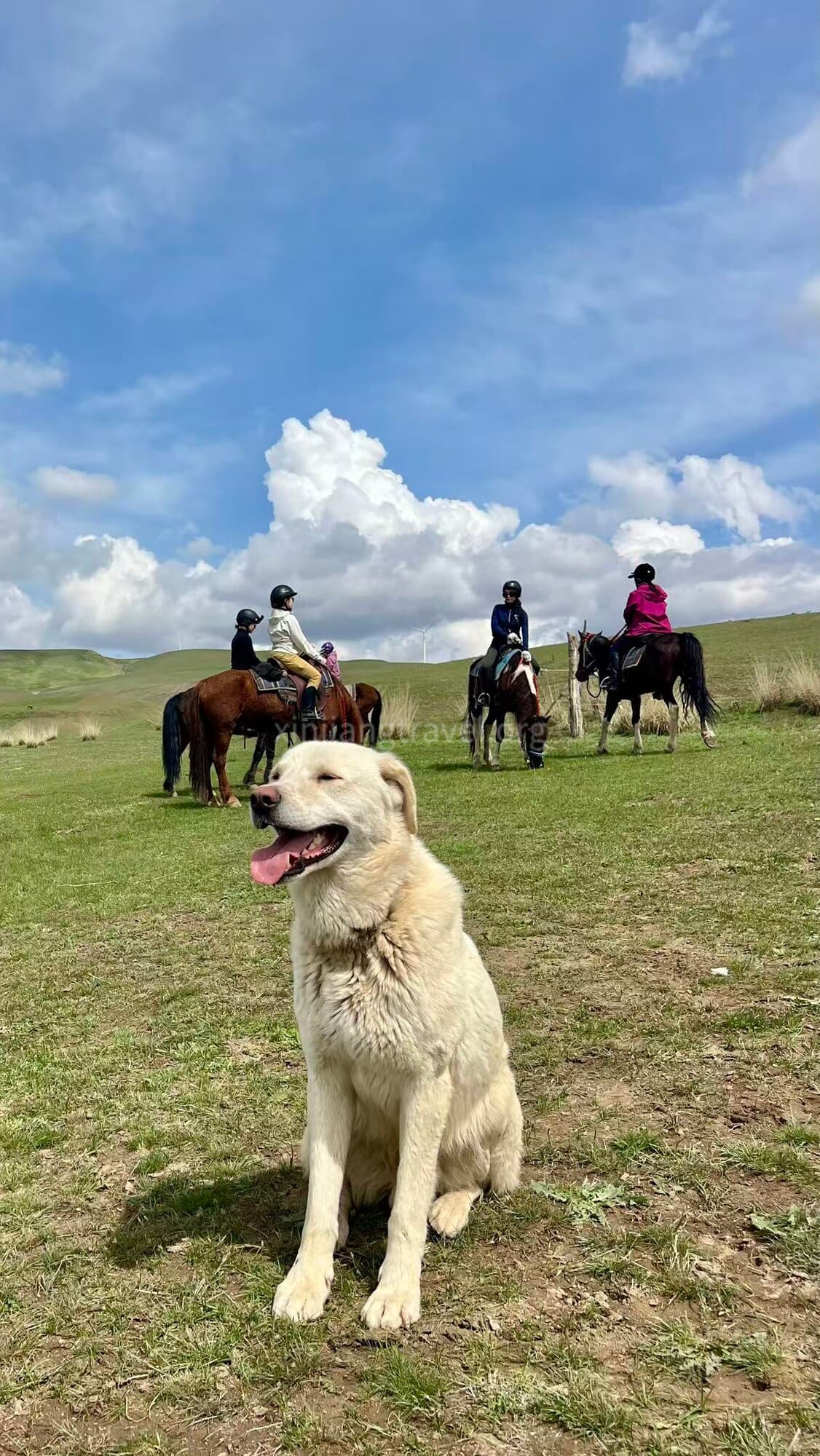 horse-riding-5