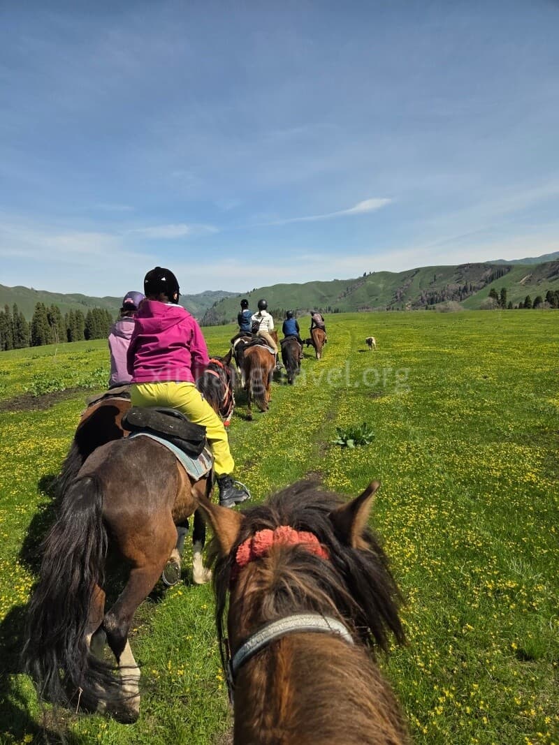 horse-riding-9