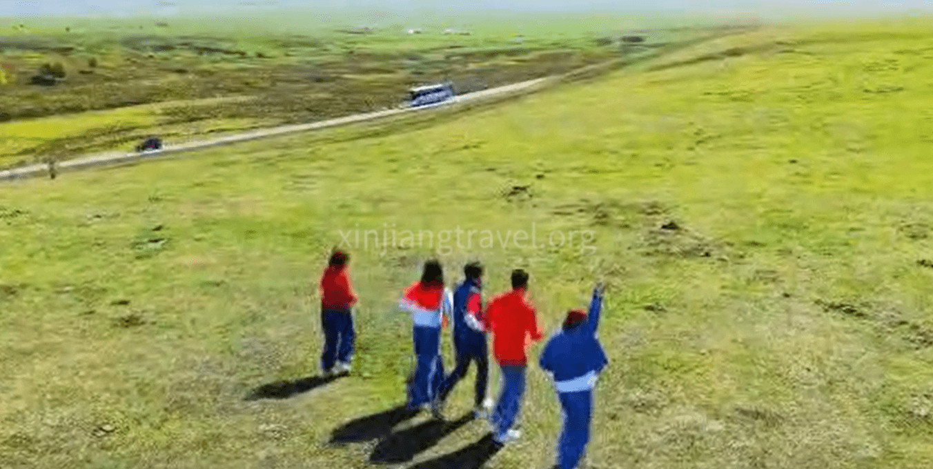 Where the Wind Meets the Green: Nalati Prairie"