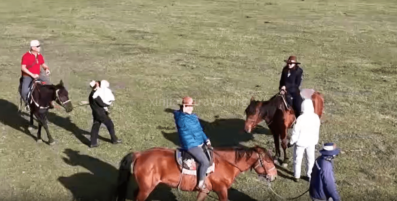 Journey on Horseback: Exploring the Grasslands