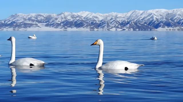 sayram lake.jpg