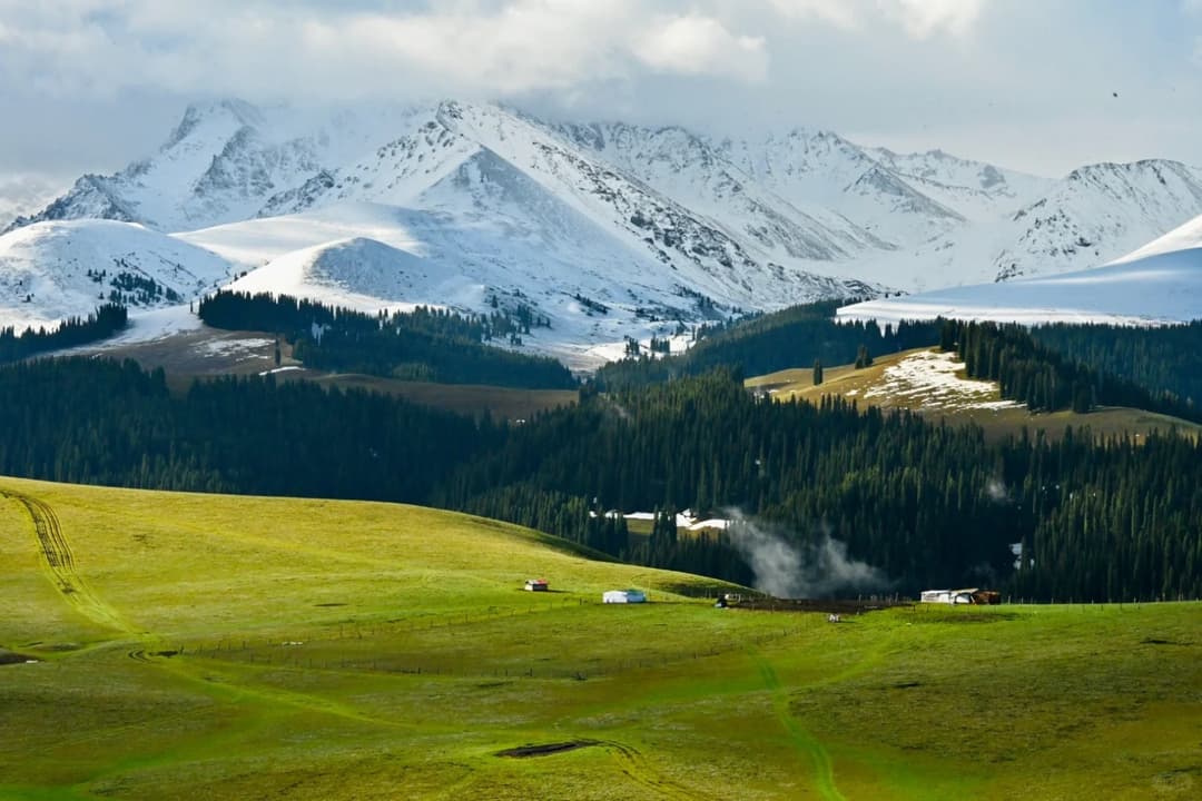 karajun-grassland.jpg