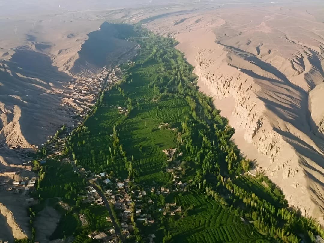 grape-valley.jpg
