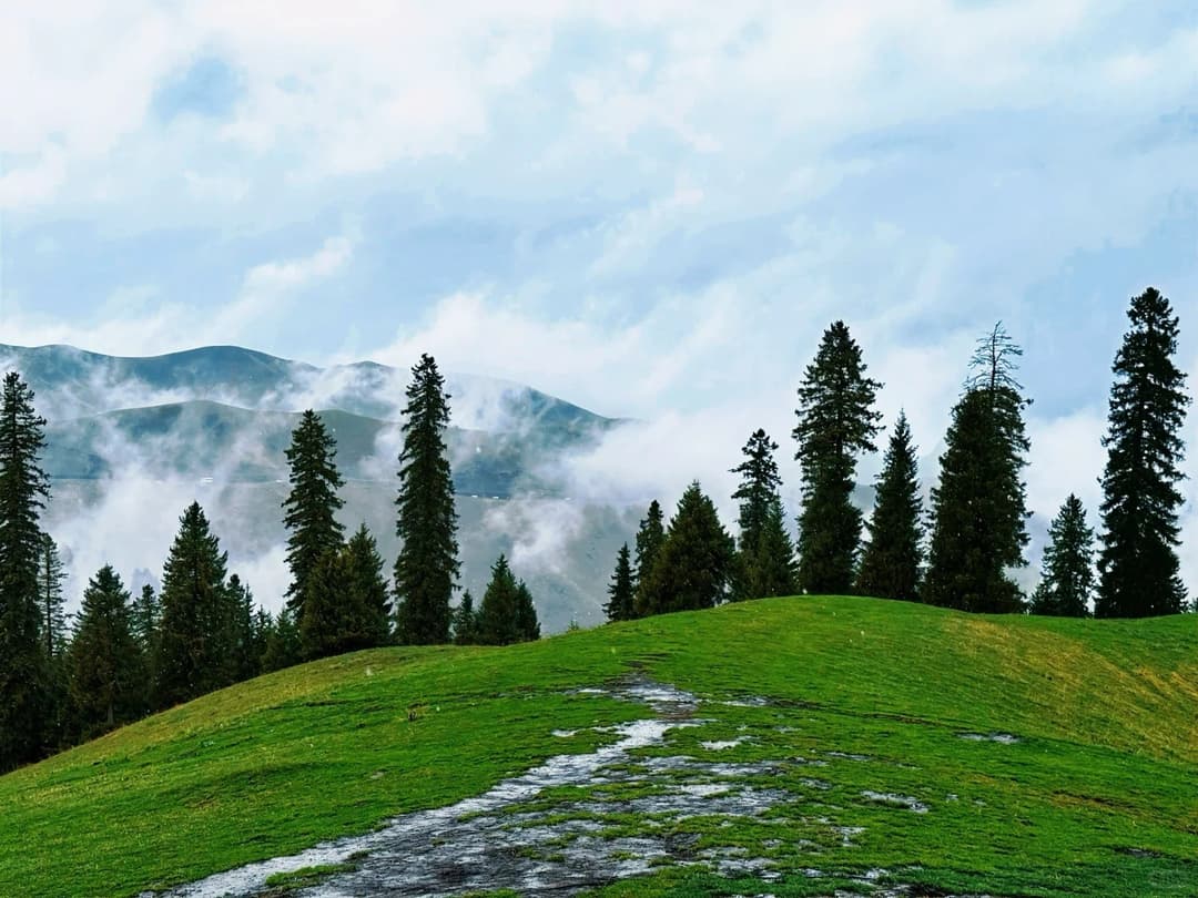kuerdening-grassland.jpg