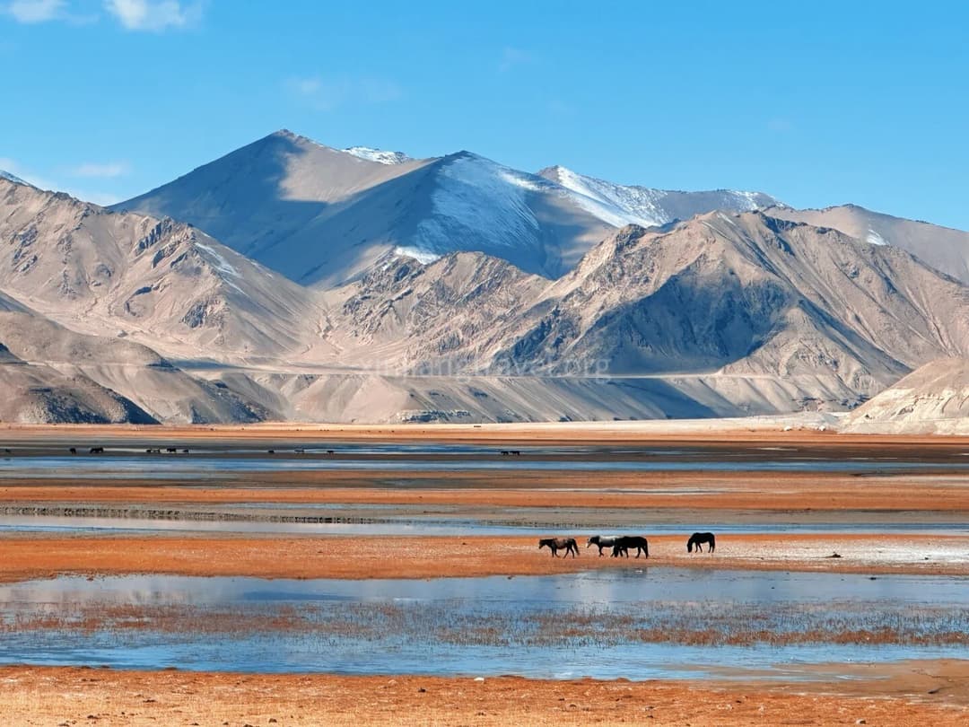 pamir-plateau.jpg