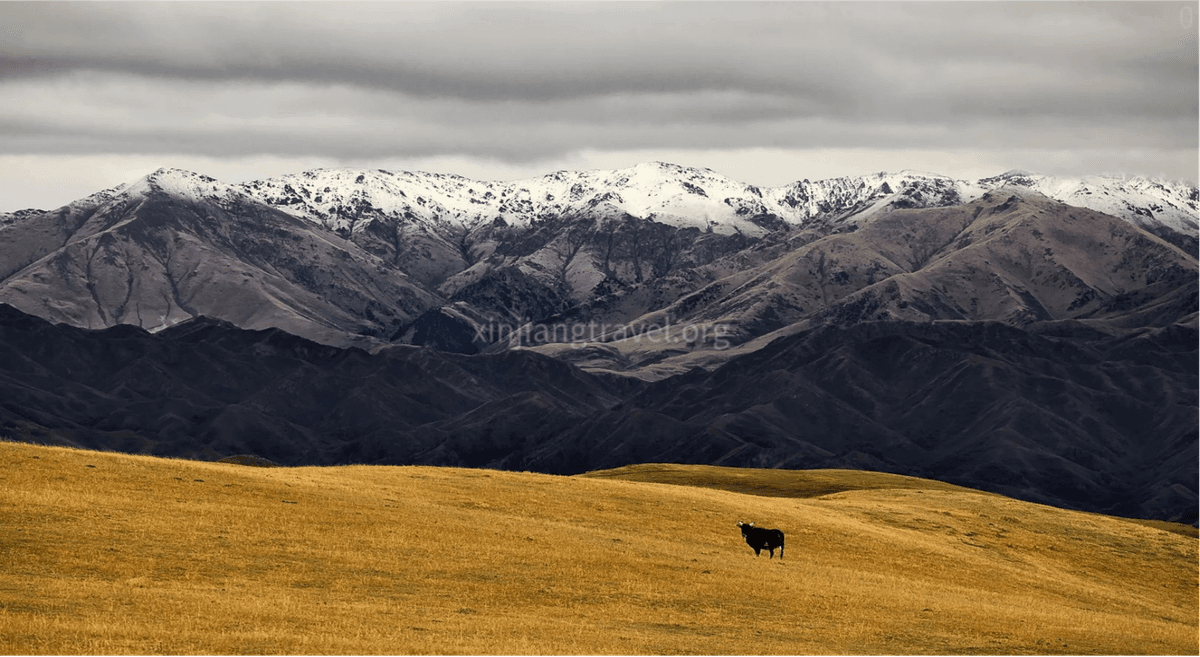 balruk-Mountain-tacheng