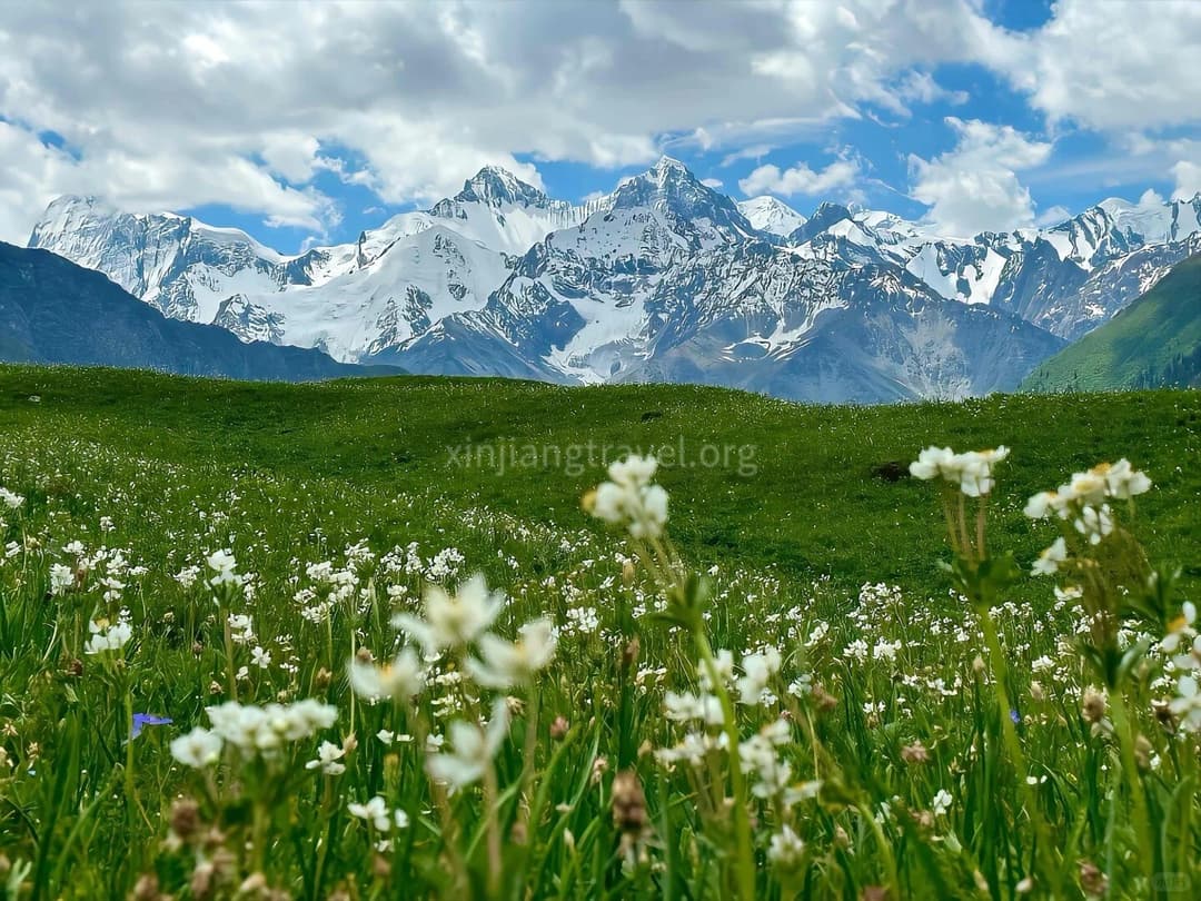 naraty-grassland.jpg