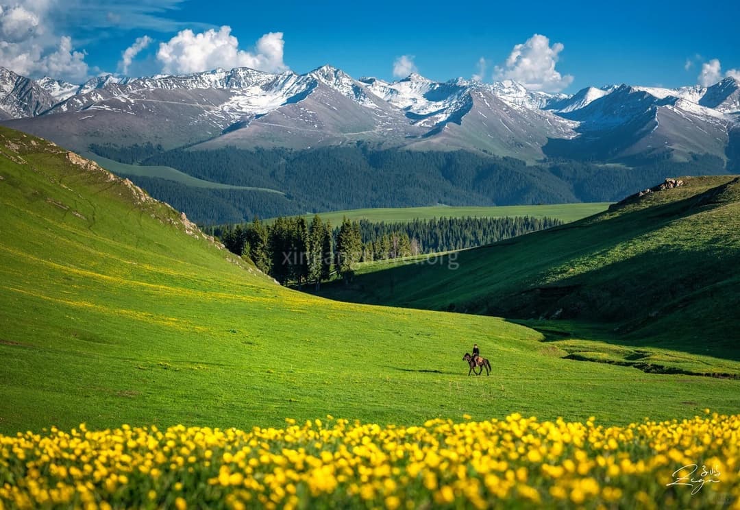 karajun-grassland.jpg