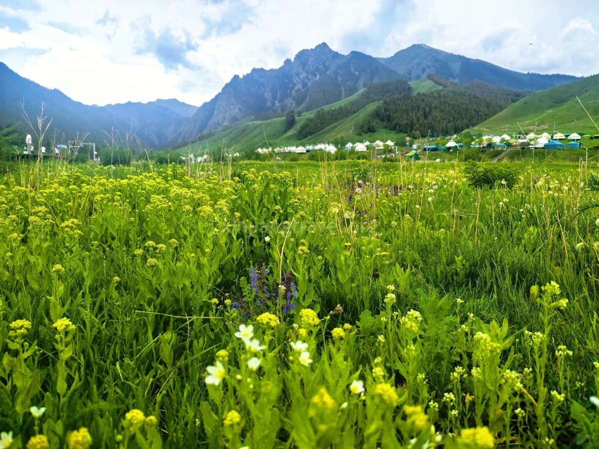 nanshan.jpg