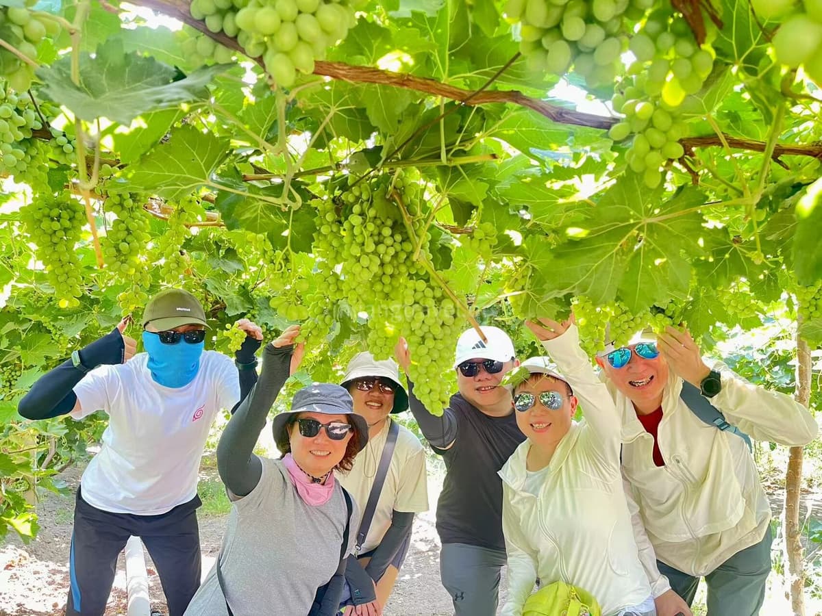 turpan-grape-festival-3