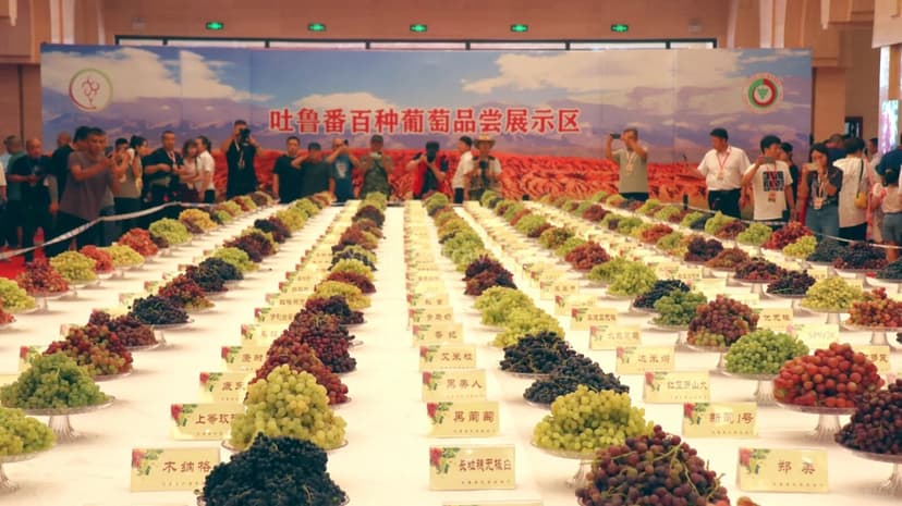 turpan-grape-festival-2