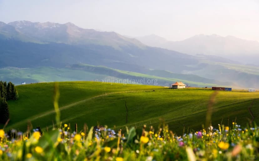 kalajun-grassland.jpg