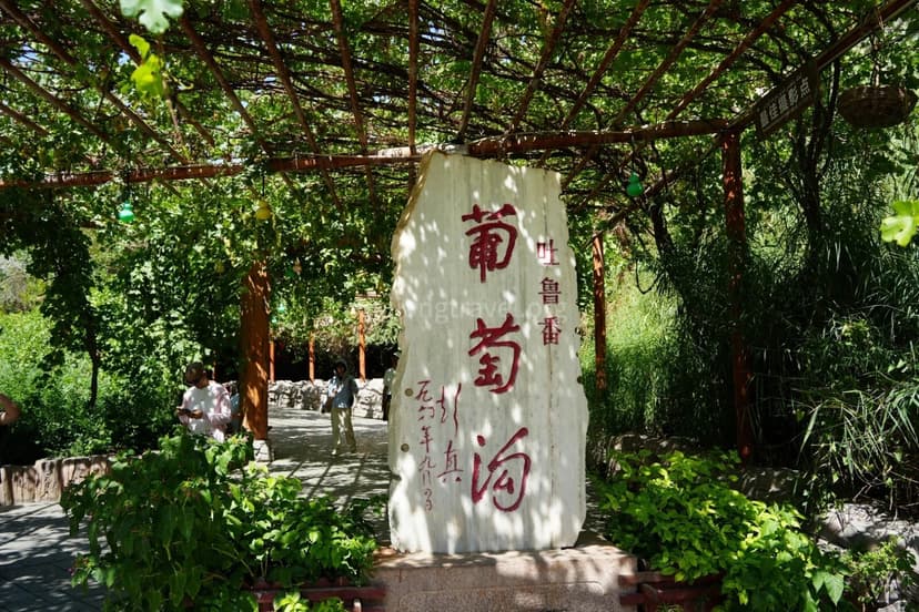 grape-valley-turpan