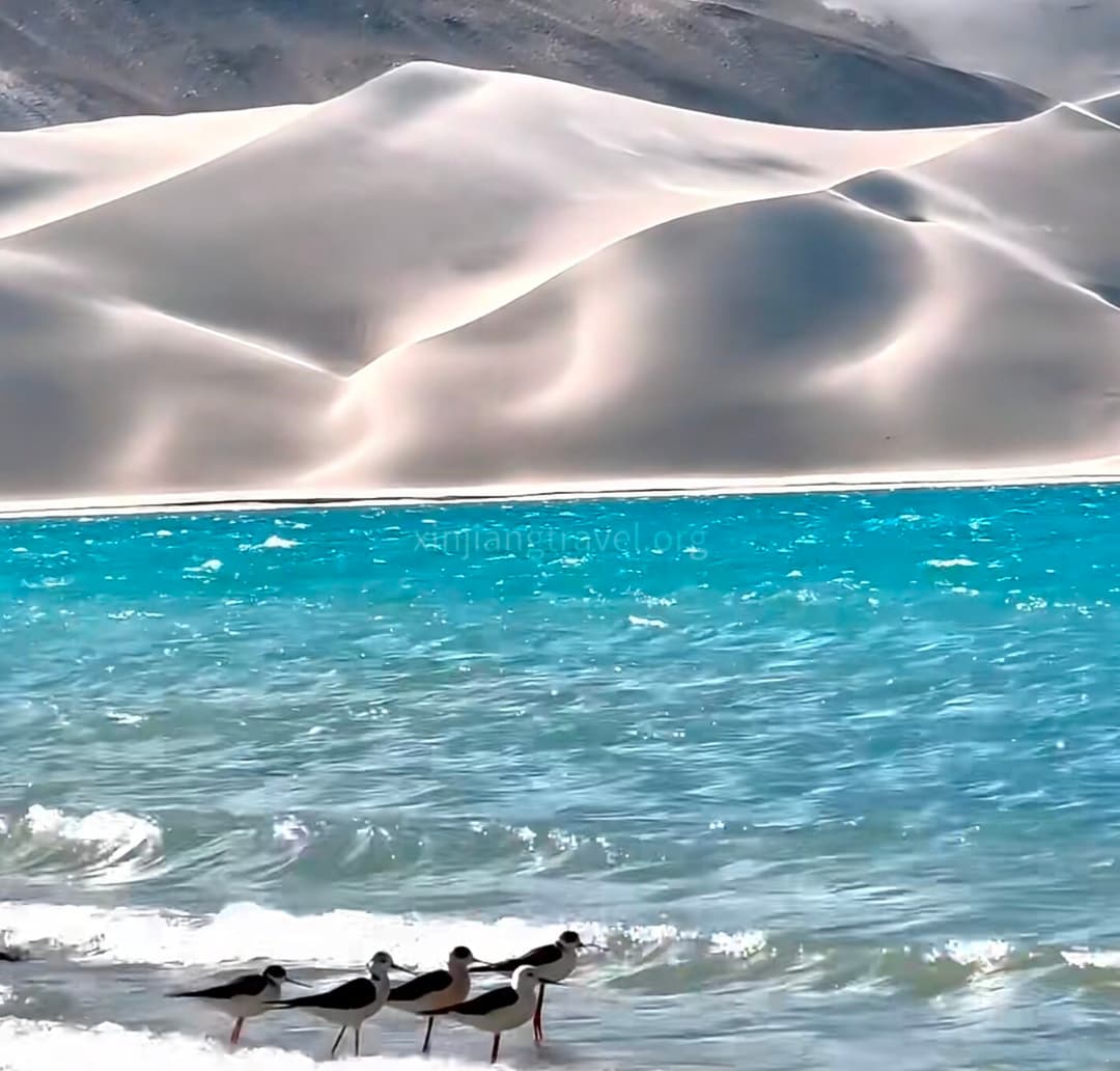 baisha-lake-01.jpg