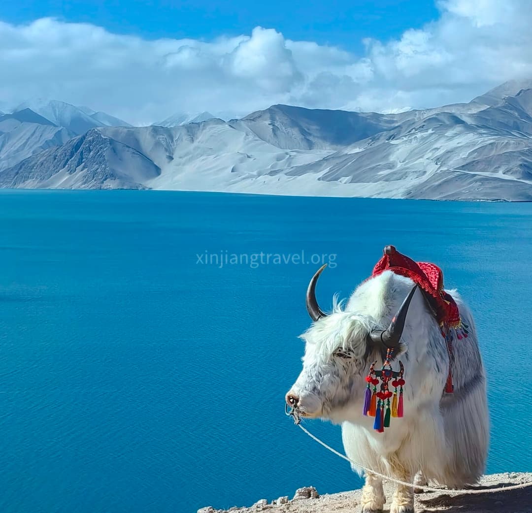 baisha-lake-02.jpg