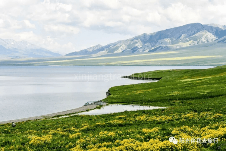 6a62f7852a27d.png