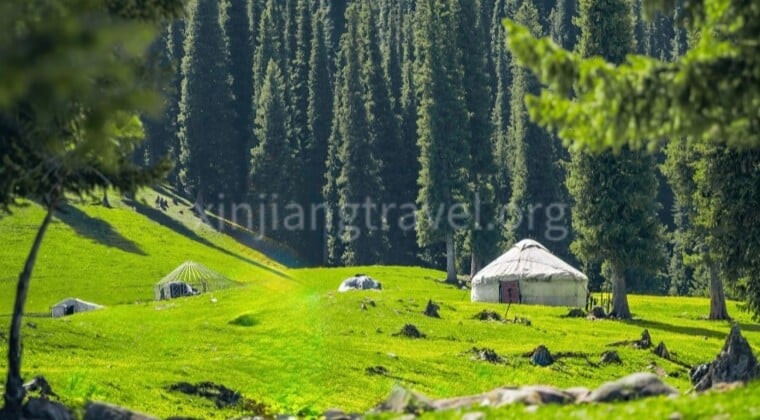 15Days Xinjiang Xian and Chengdu Holiday 2