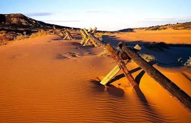 desert.jpg desert.jpg