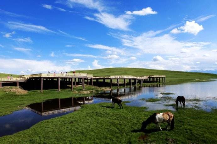 prairie.jpg prairie.jpg