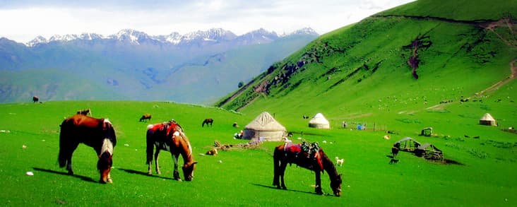 southern-pastureland.jpg southern-pastureland.jpg