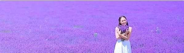 Lavender.jpg.jpg Lavender.jpg.jpg