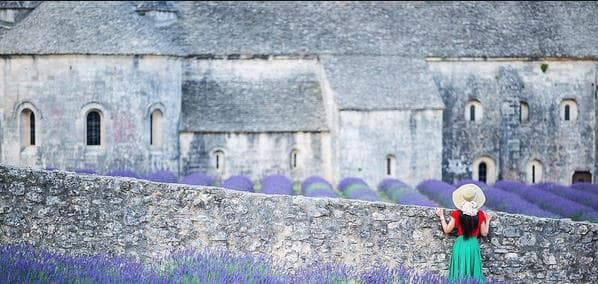 Lavender.jpg.jpg.jpg Lavender.jpg.jpg.jpg