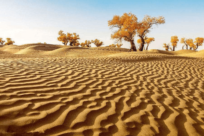 best-time-tak-desert.png best-time-tak-desert.png