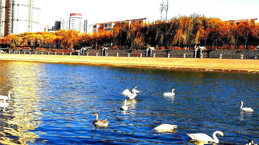 peacok river.jpg peacok river.jpg