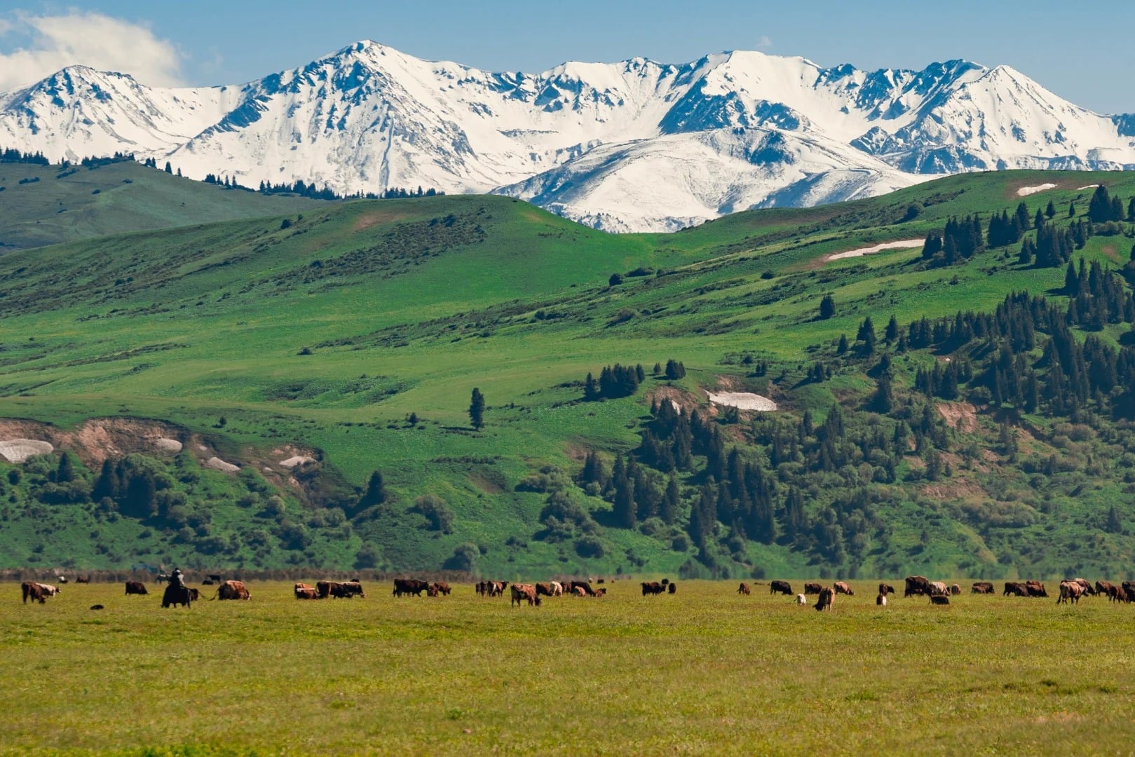 15-days-essence-kazakhstan-and-north-xinjiang-tour 15-days-essence-kazakhstan-and-north-xinjiang-tour