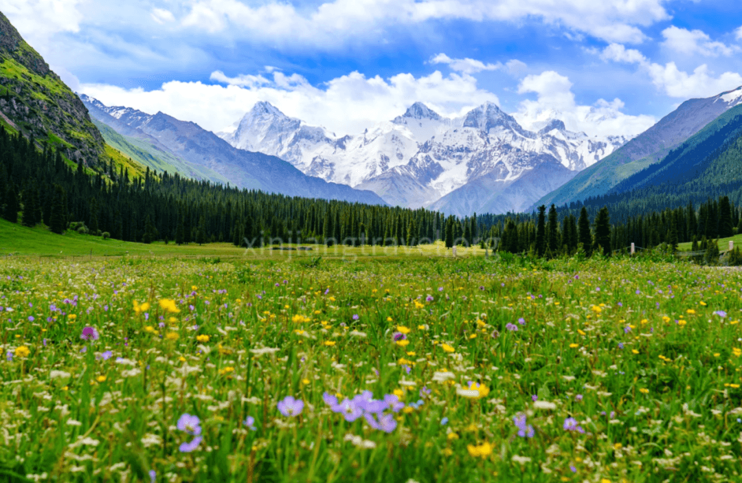 xiata-grassland.png xiata-grassland.png