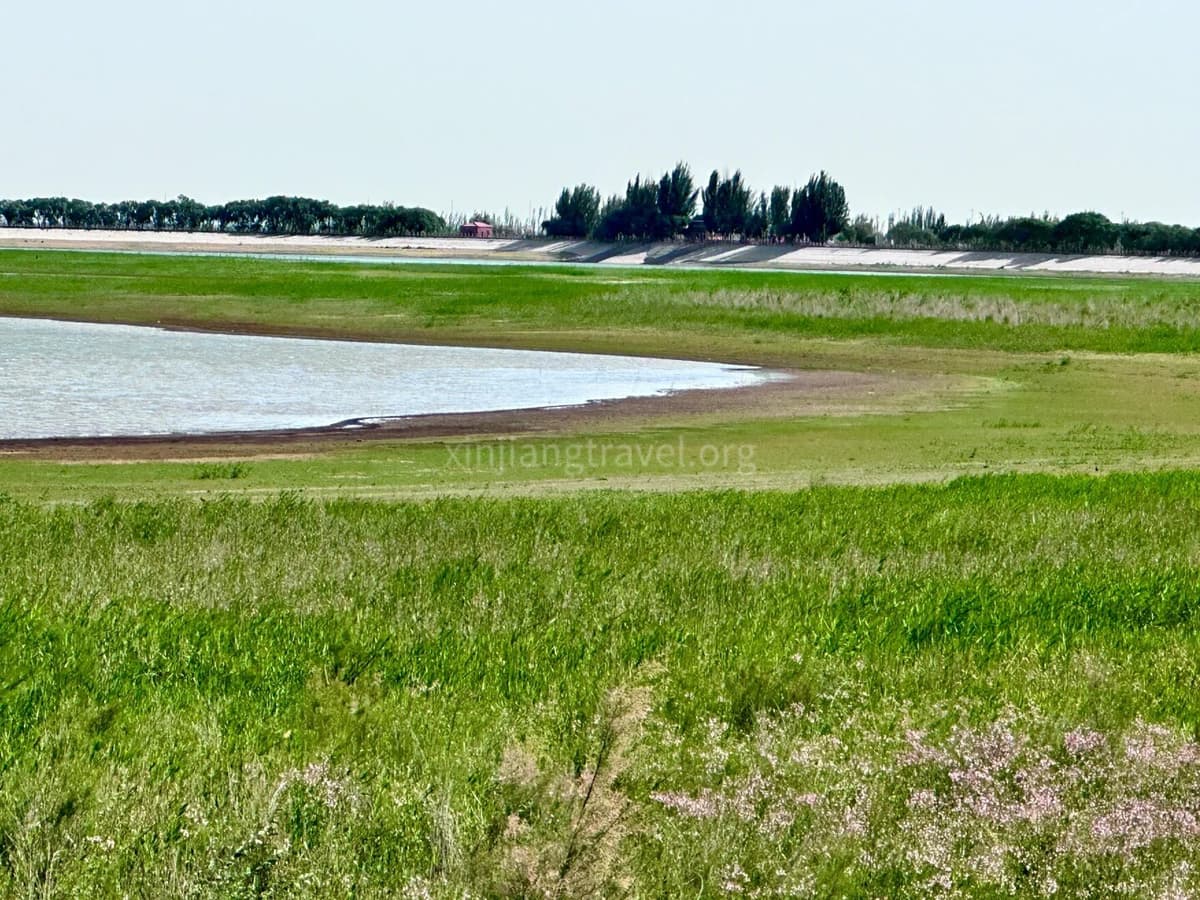 yarkand-river-wetland-park.jpg yarkand-river-wetland-park.jpg