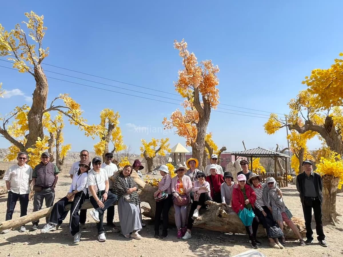 our-clients-in-populus-forest.jpg our-clients-in-populus-forest.jpg
