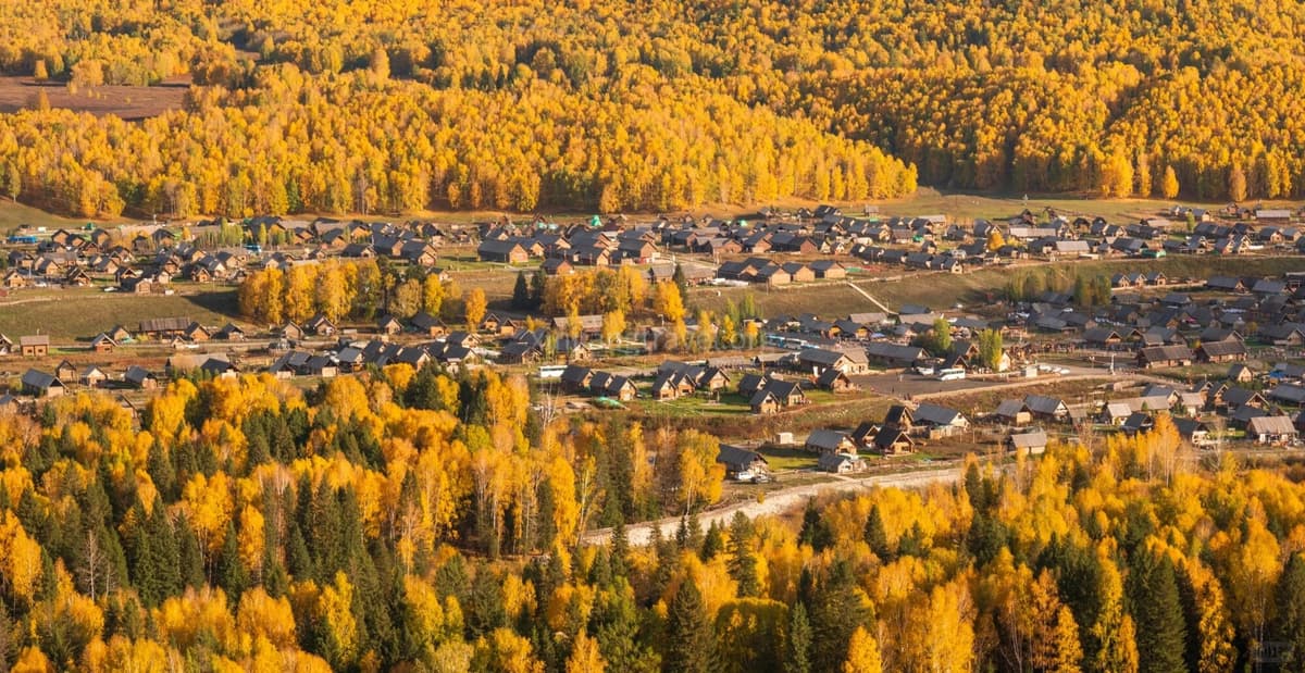 autume-hemu.jpg autume-hemu.jpg
