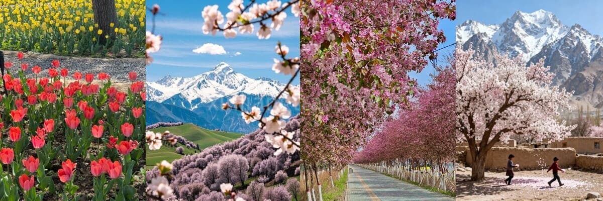 xinjiang-spring-travel-2 xinjiang-spring-travel-2