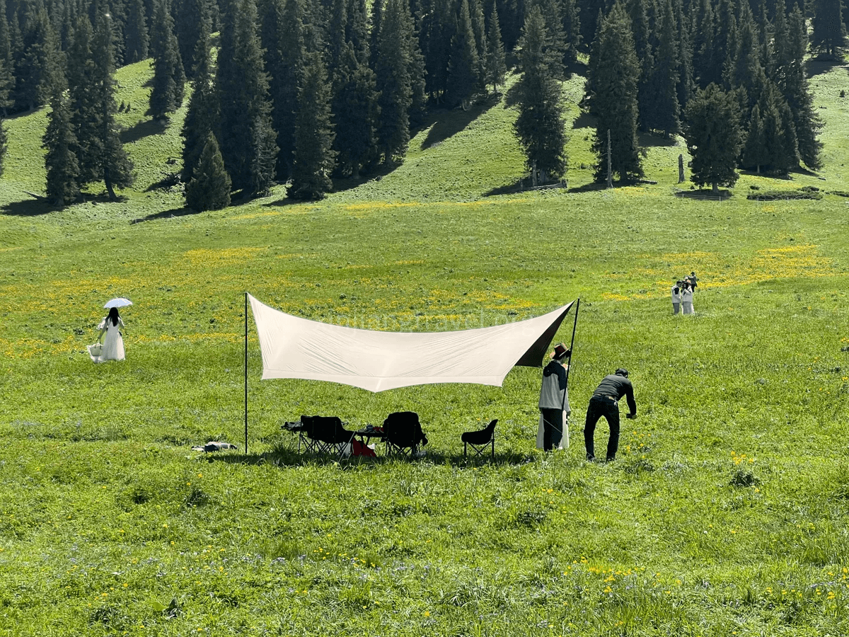 camping-under-the-sky.png camping-under-the-sky.png