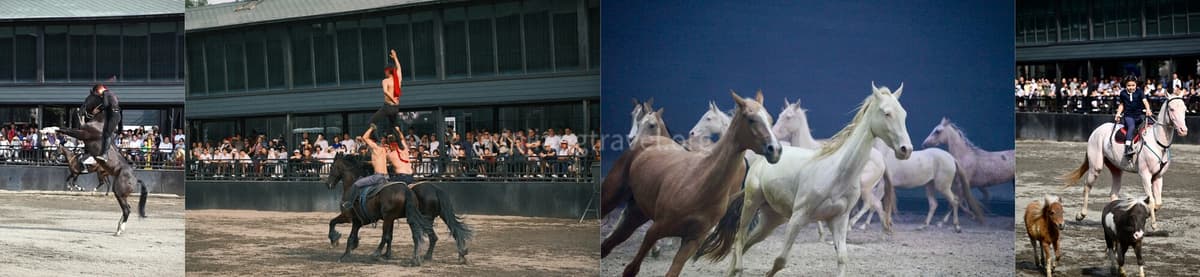 xinjiang-horseback-travel-9 xinjiang-horseback-travel-9