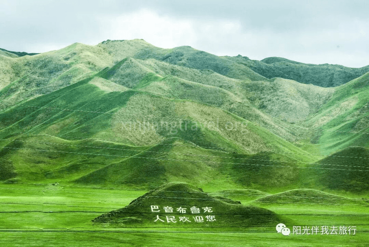 6a62f47e18940.png